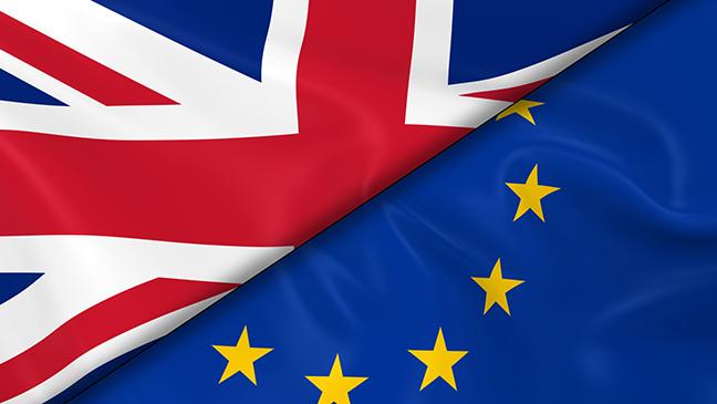 Guest blog: Brexit reaction from UNTHA UK’s Marcus Brew